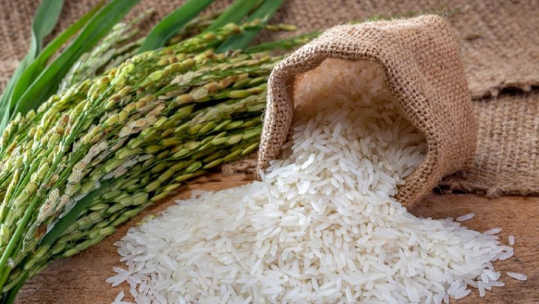 Estudios descartan presencia de metales pesados en arroz comercializado en el país