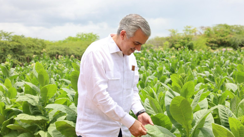 Iván Hernández afirma RD ha generado más de US$1,340 MM en exportaciones de tabaco